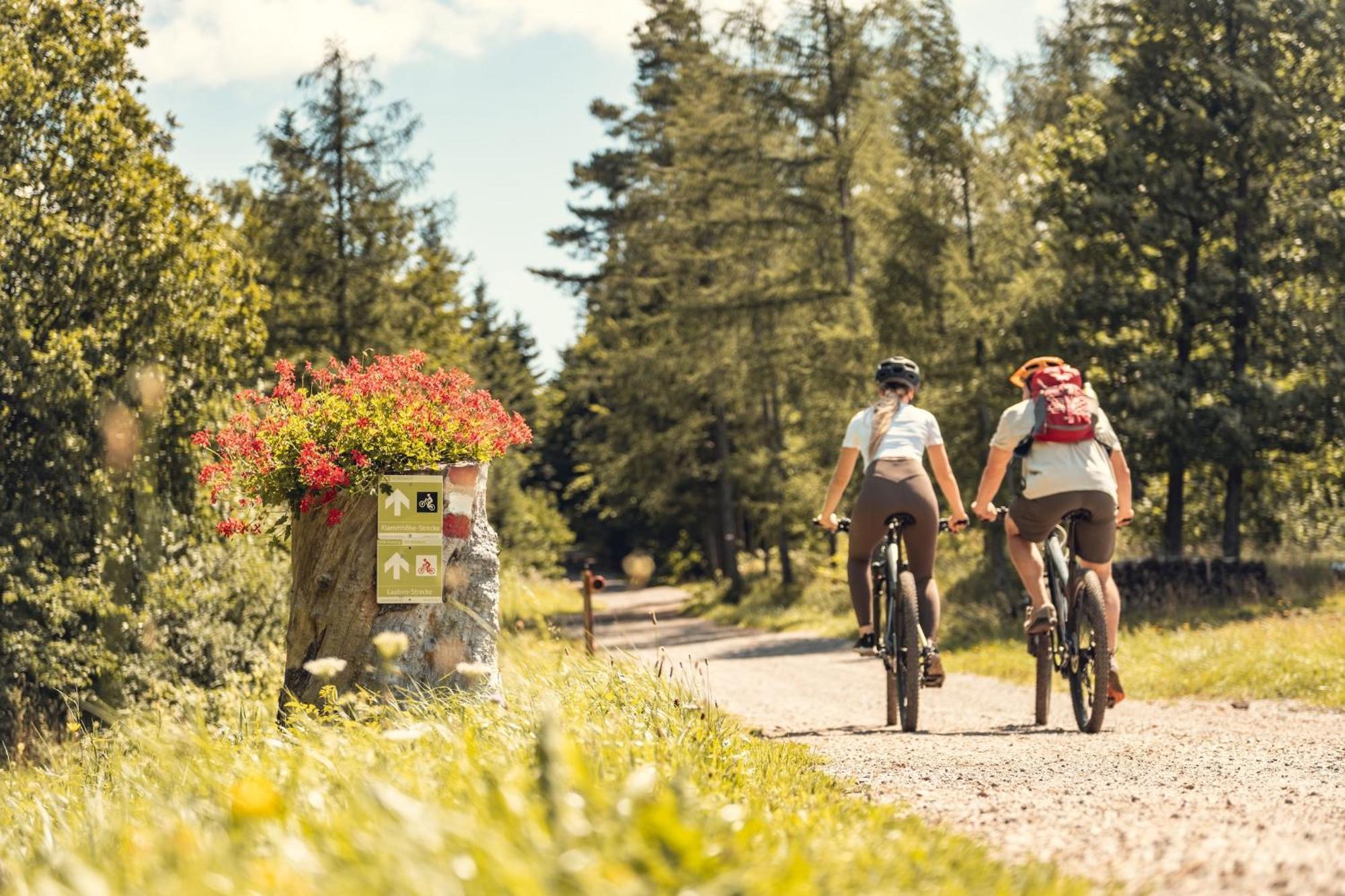 Landgasthof Zur Linde Laaben Bagian luar foto
