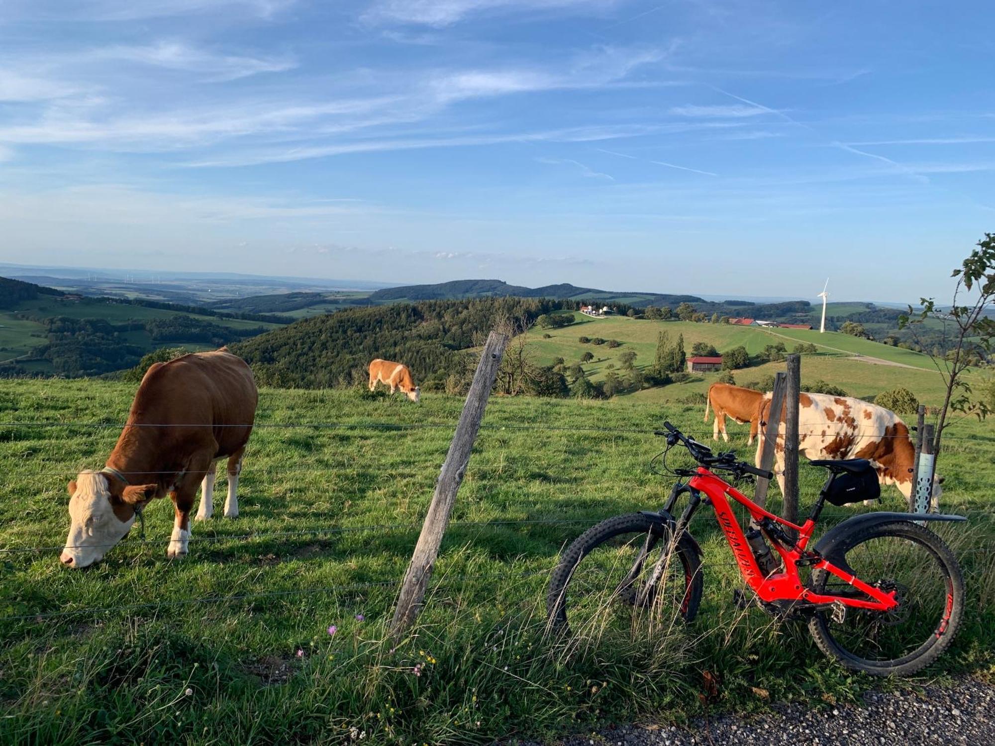 Landgasthof Zur Linde Laaben Bagian luar foto