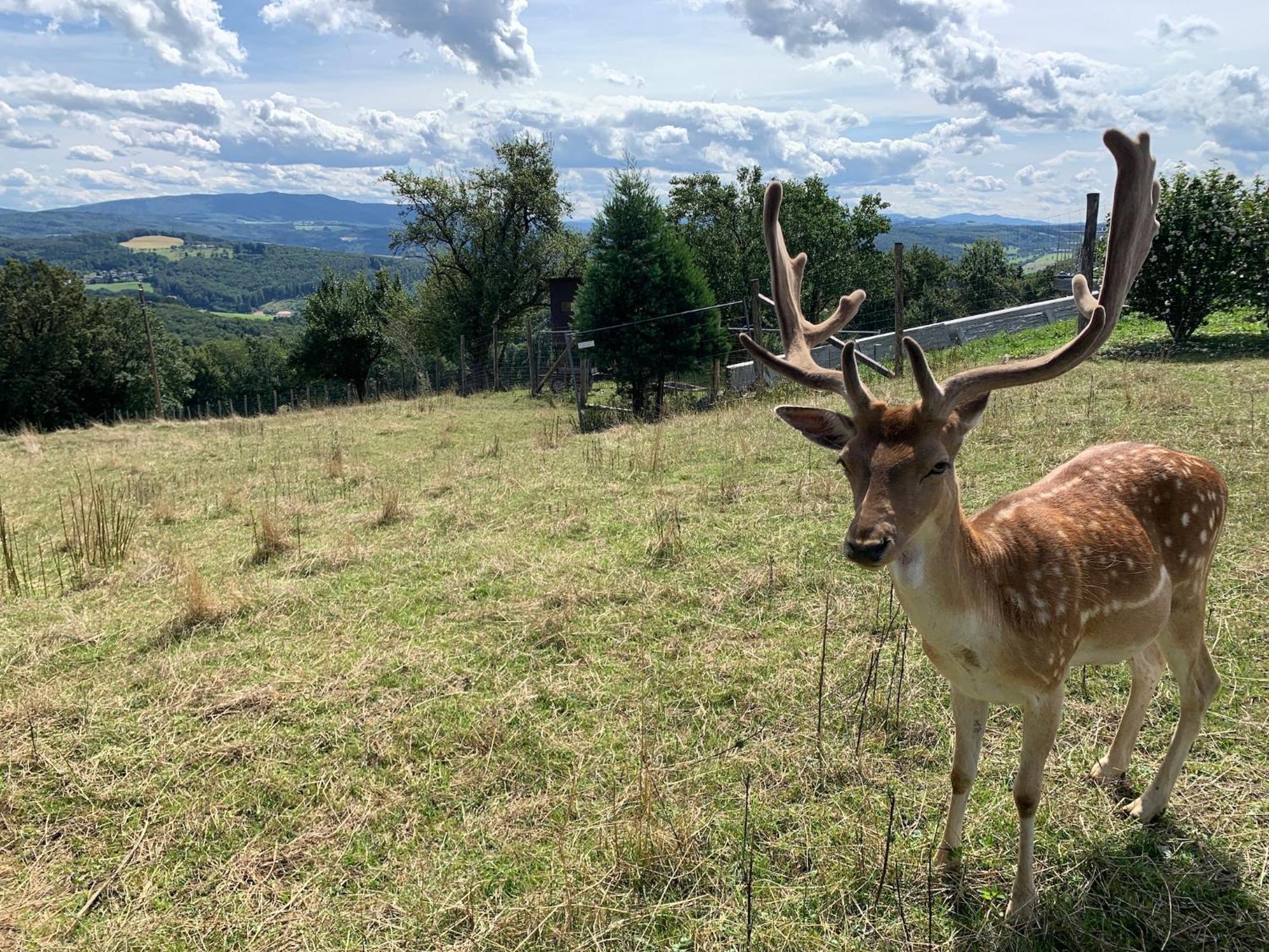 Landgasthof Zur Linde Laaben Bagian luar foto