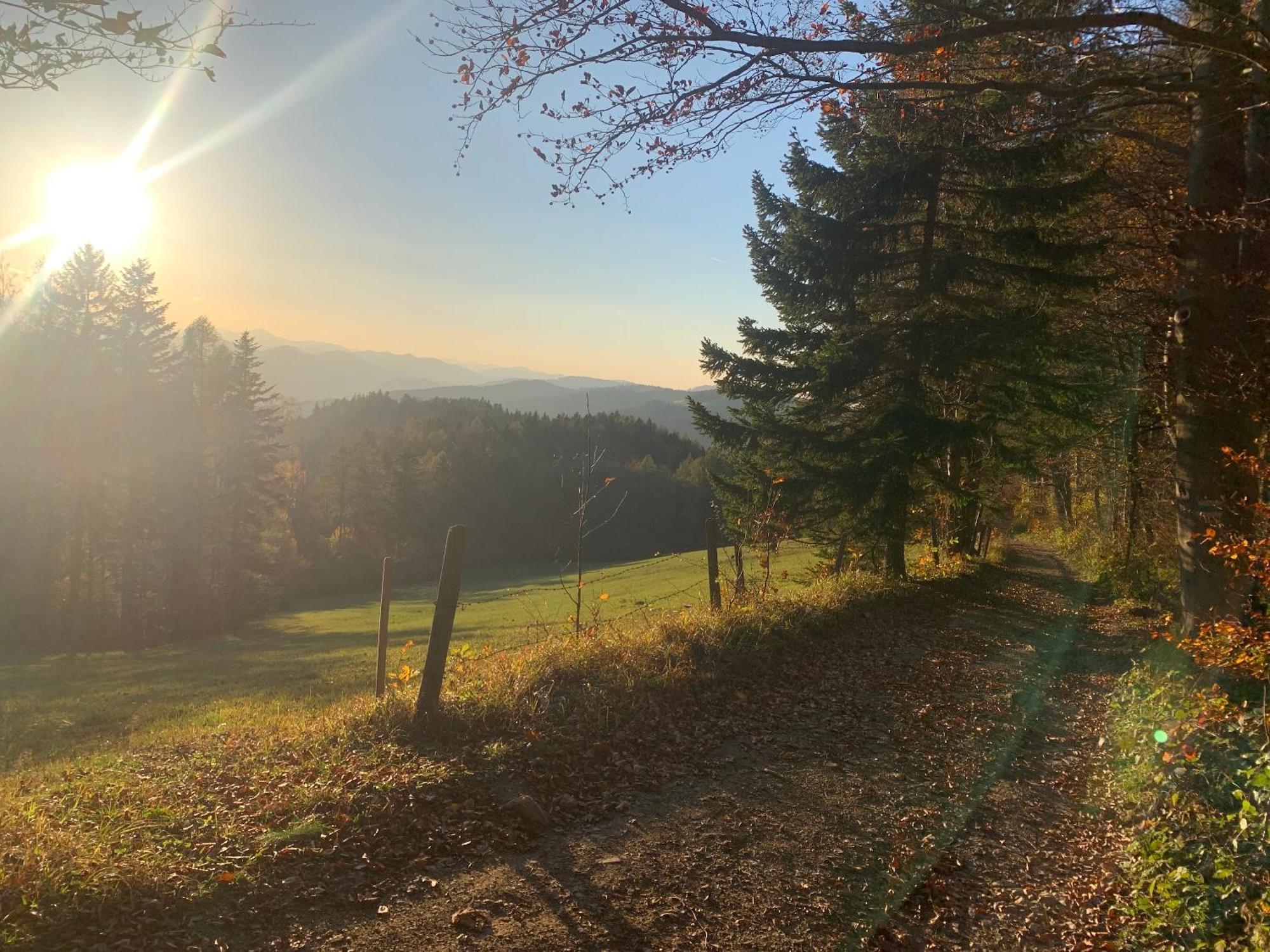 Landgasthof Zur Linde Laaben Bagian luar foto