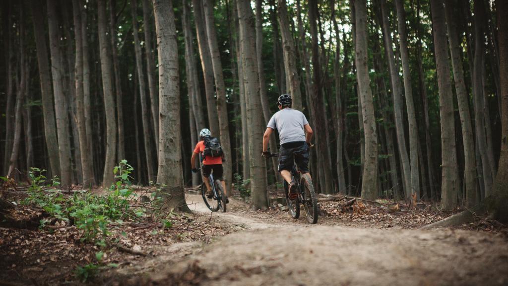 Landgasthof Zur Linde Laaben Bagian luar foto
